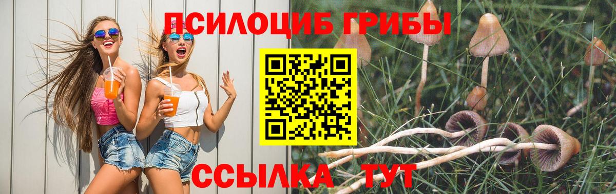 Большой Камень  Псилоцибиновые грибы мухоморы  Вход с VPN 